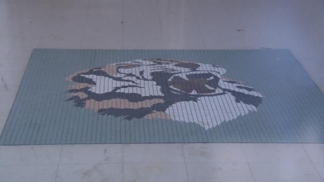 BA Alumni Start Movement To Save Historic Tiger