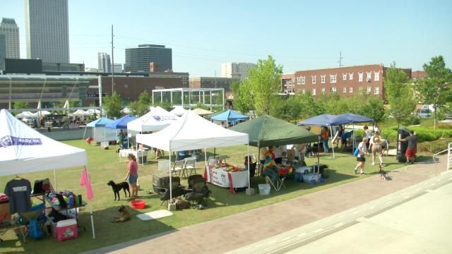 Oklahomans Looking For Furry Friend Have A Chance At Rock And Rescue