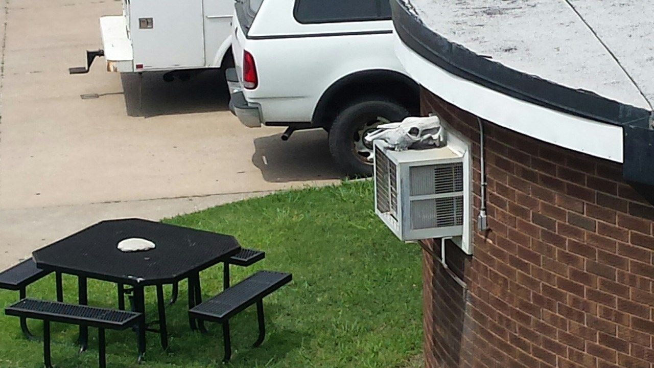 Mystery Of Downtown Tulsa's Cow Skull Stays A Mystery