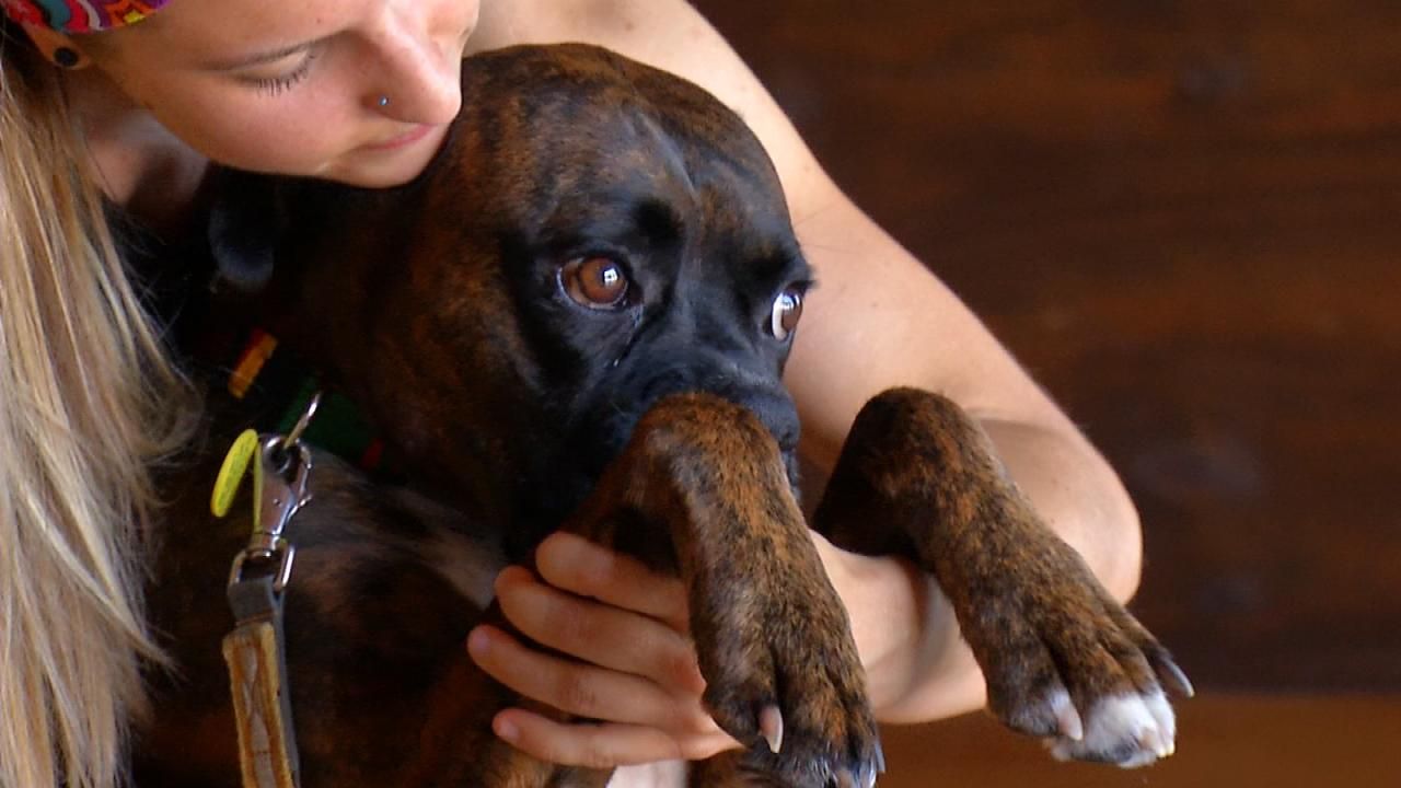 Catch A Dog Yoga Class Saturday In Tulsa