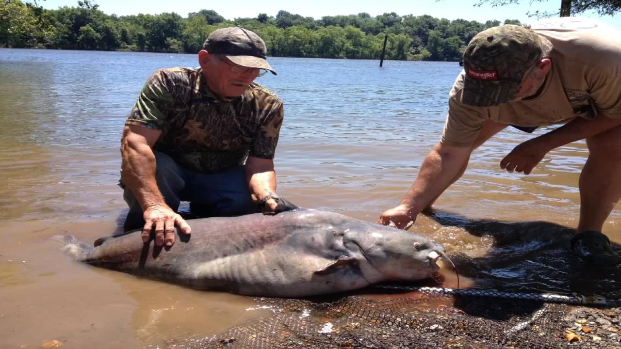 Couple Shatters Catfish Record At Fort Gibson Lake
