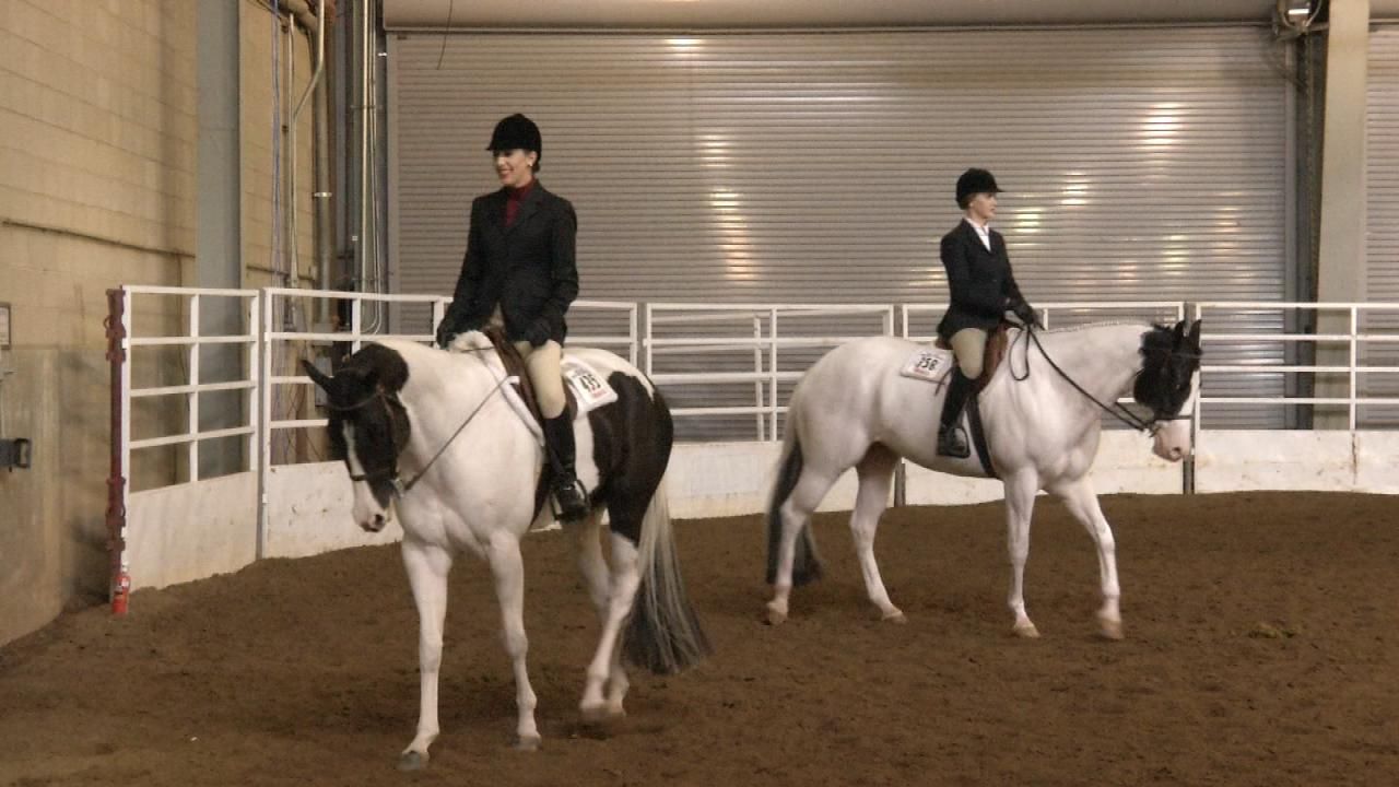 Paint Horse Competition Fills Tulsa Fairgrounds
