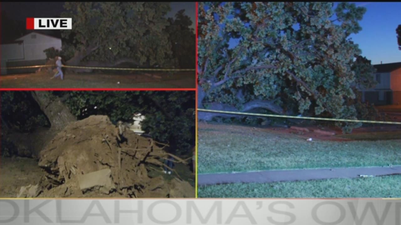 Tree Crashes Down On Cars At Tulsa Apartment Complex