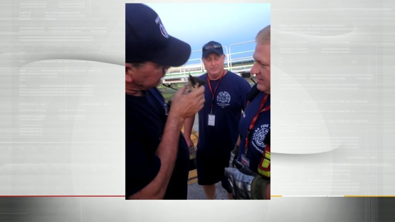 Firefighters Rescue Kitten At Tulsa Airport