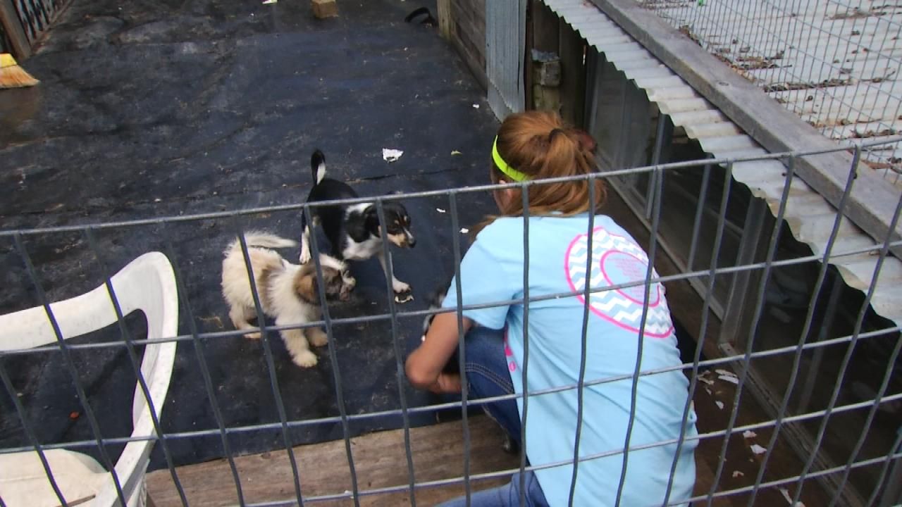 Rescue Shelter Taking Care Of Murdered Craig County Woman's Pets