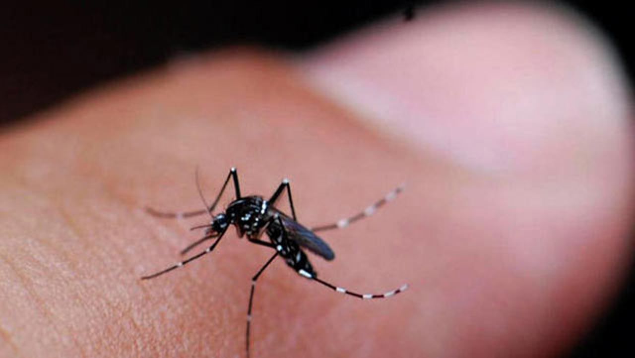 First Human Case Of West Nile Virus Confirmed In Tulsa County