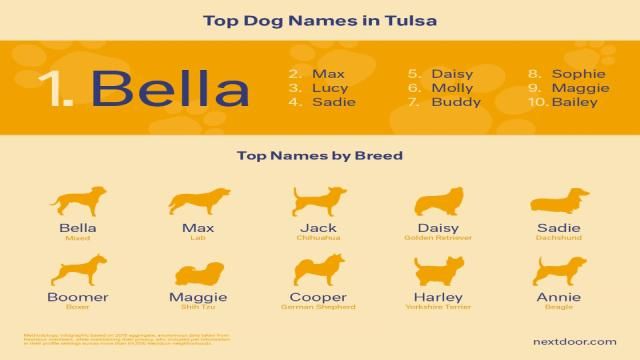 Rescue Foundation Looks At Top Tulsa Dog Names For 'National Dog Day'