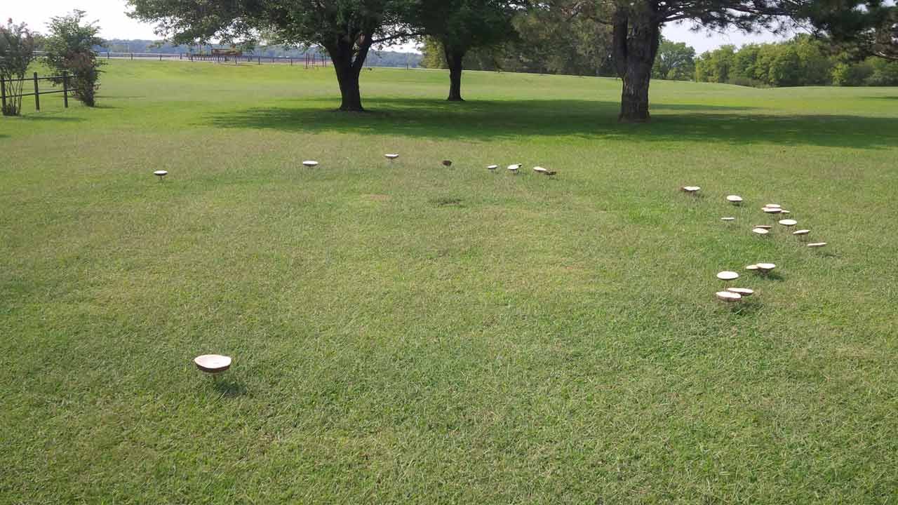 Wet Weather Brings Out 'Fairy Rings' In NE Oklahoma