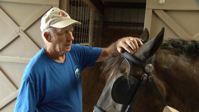 Drumright Couple Uses Horses To Help Military Veterans