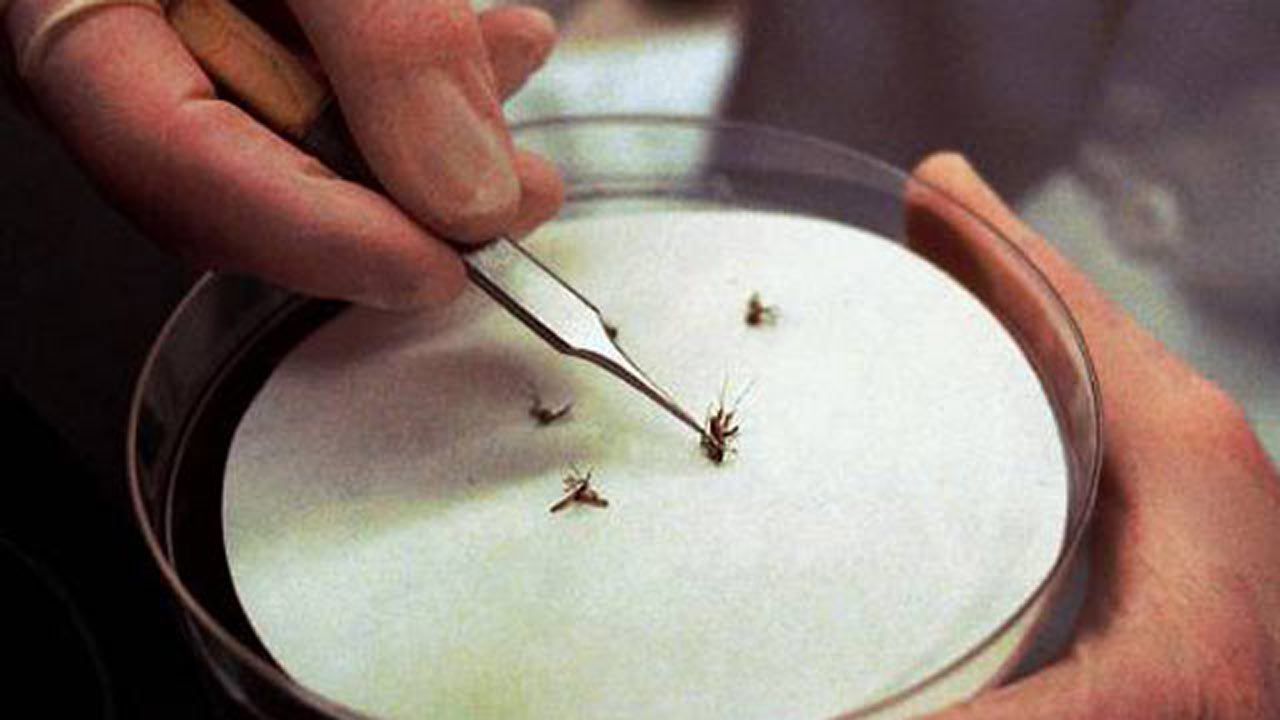 Rogers County Resident Latest West Nile Virus Death