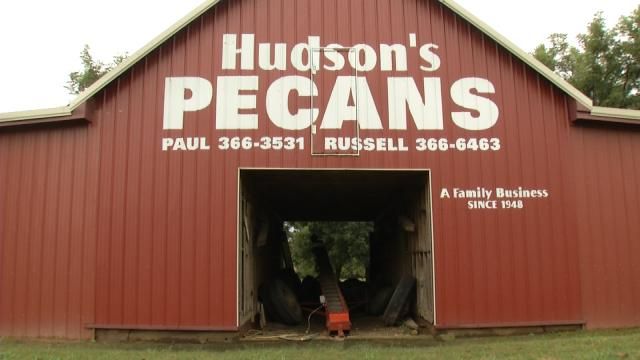 Bixby Farmer Getting Ready For Pecan Harvest