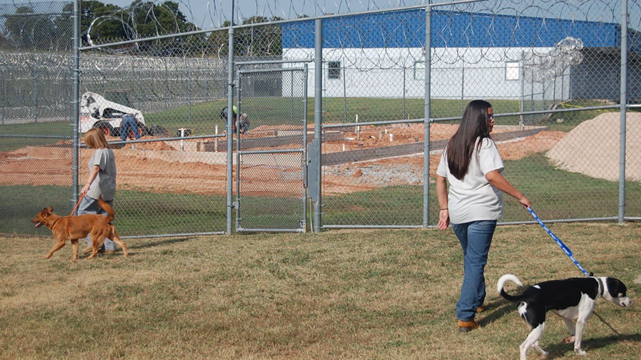 Oklahoma Inmates Giving 'Unadoptable' Dogs A Second Chance