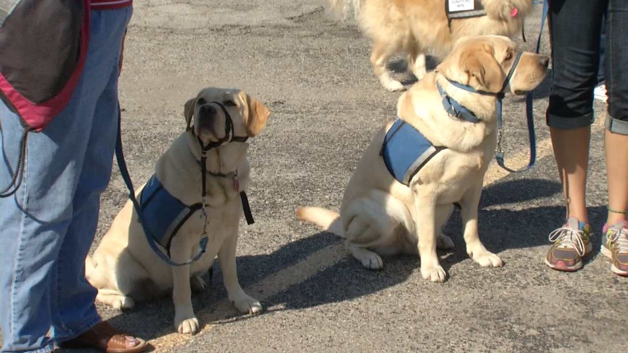Fundraiser Held For Therapetics Service Dogs Of Oklahoma