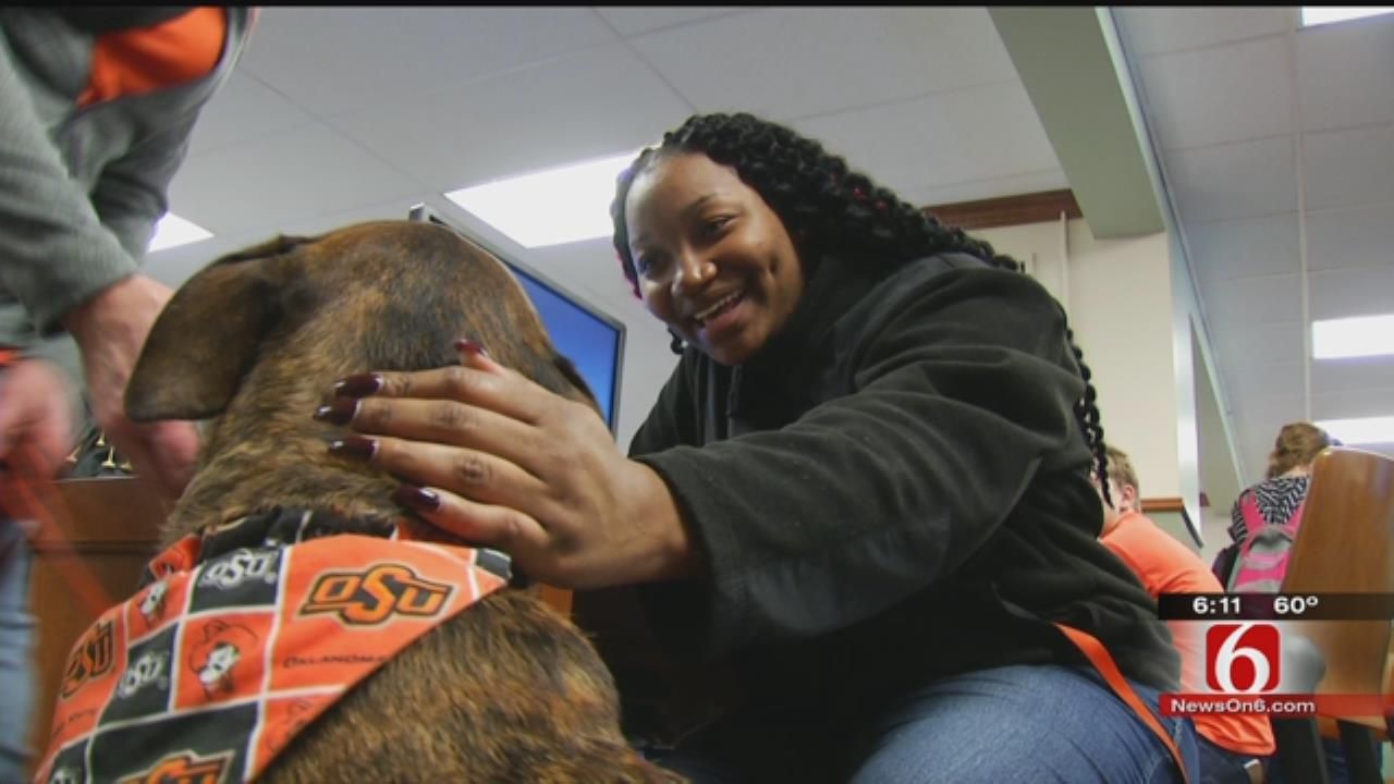Amid Tragedy, OSU's Pet Posse Is Therapy For Grieving, Confused Students