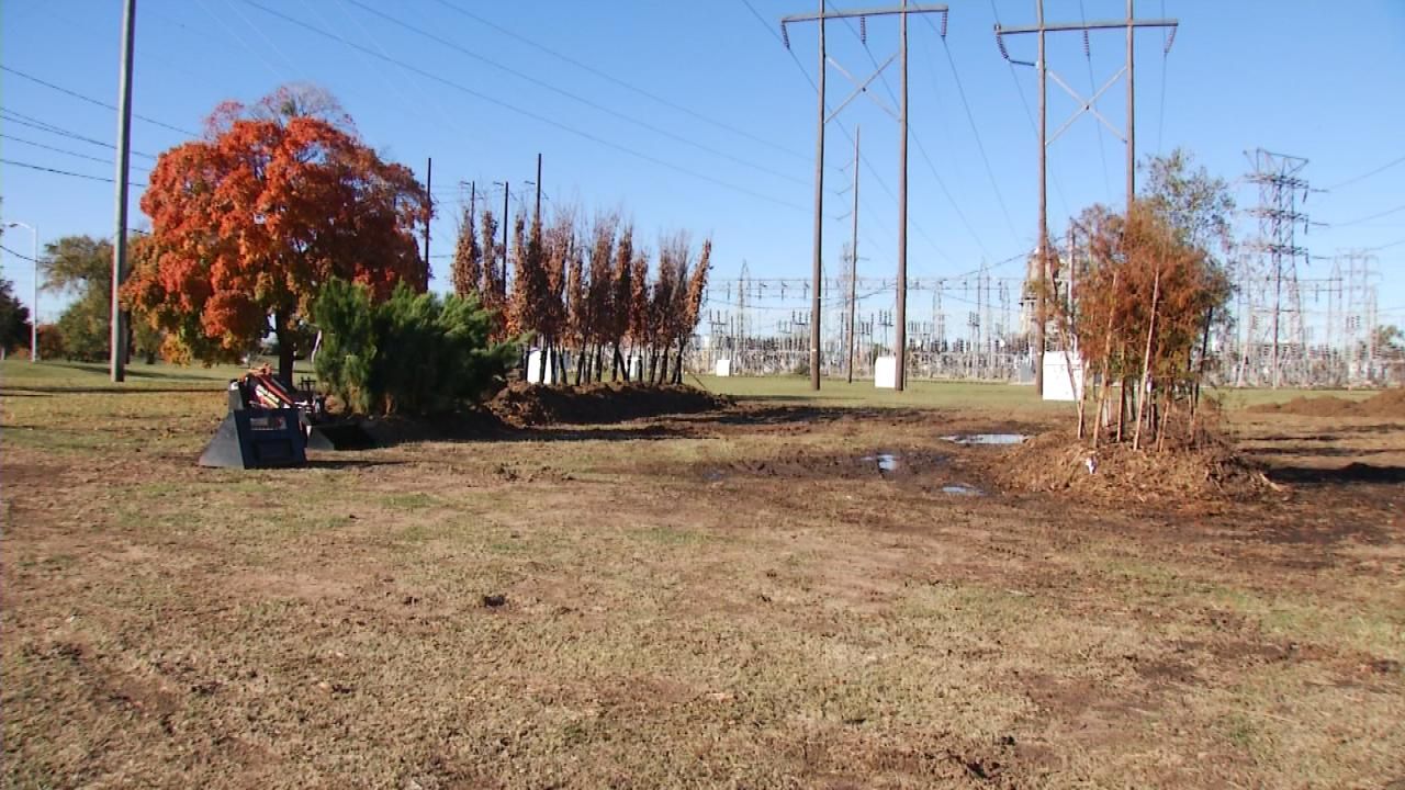 Group Planting Over 2,000 Trees To Beautify Tulsa Highways