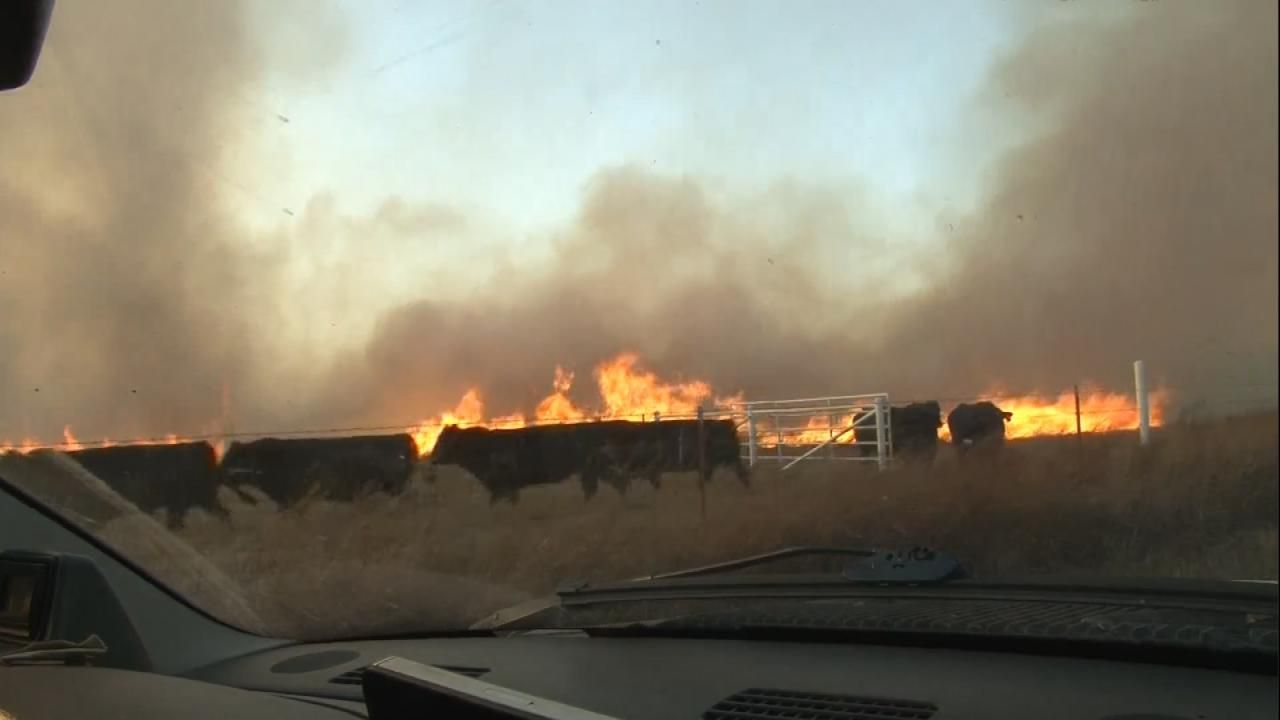 News On 6 Storm Tracker Saves Cattle From Nowata County Wildfire