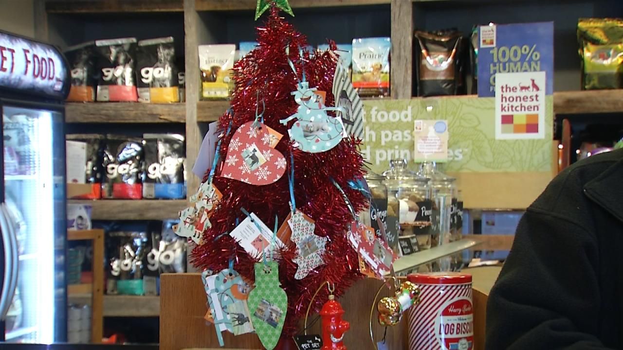 Local Rescue Using Holiday Trees To Help Provide For Puppies