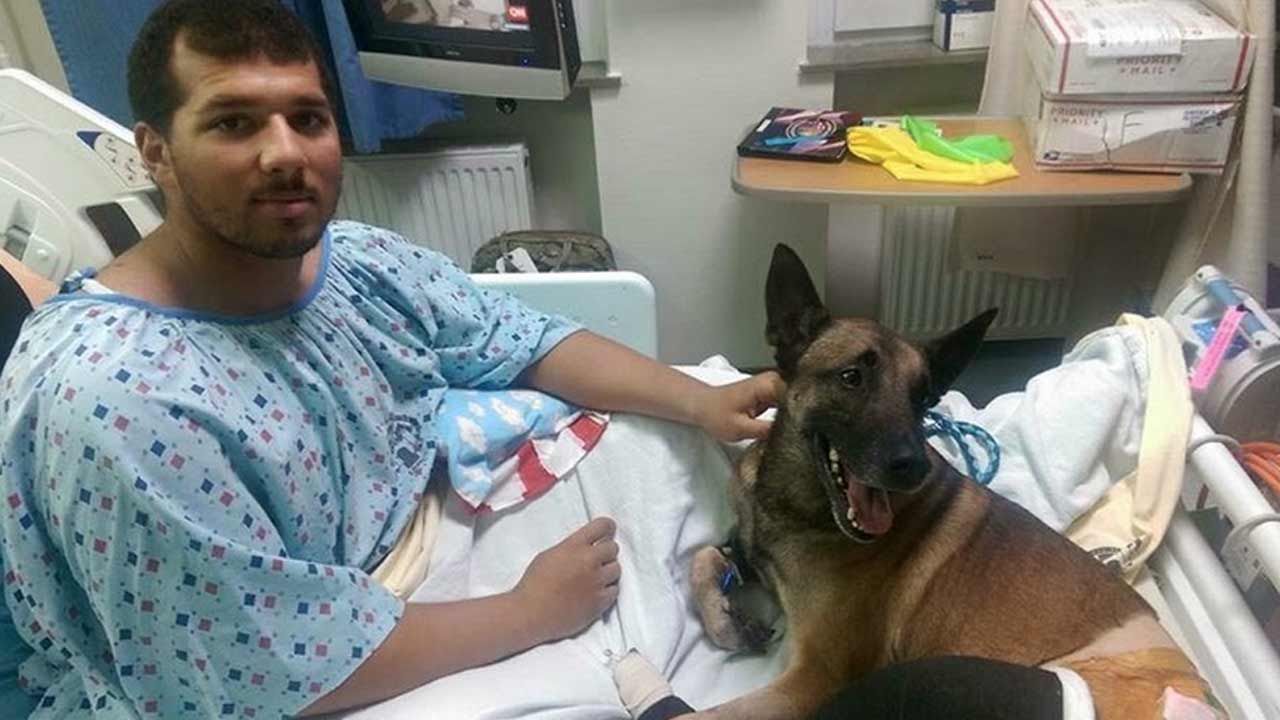Injured Handler, Military Dog Recovering After IED Explosion
