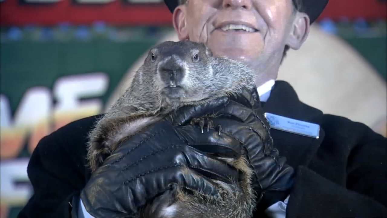 Punxsutawney Phil Predicts An Early Spring