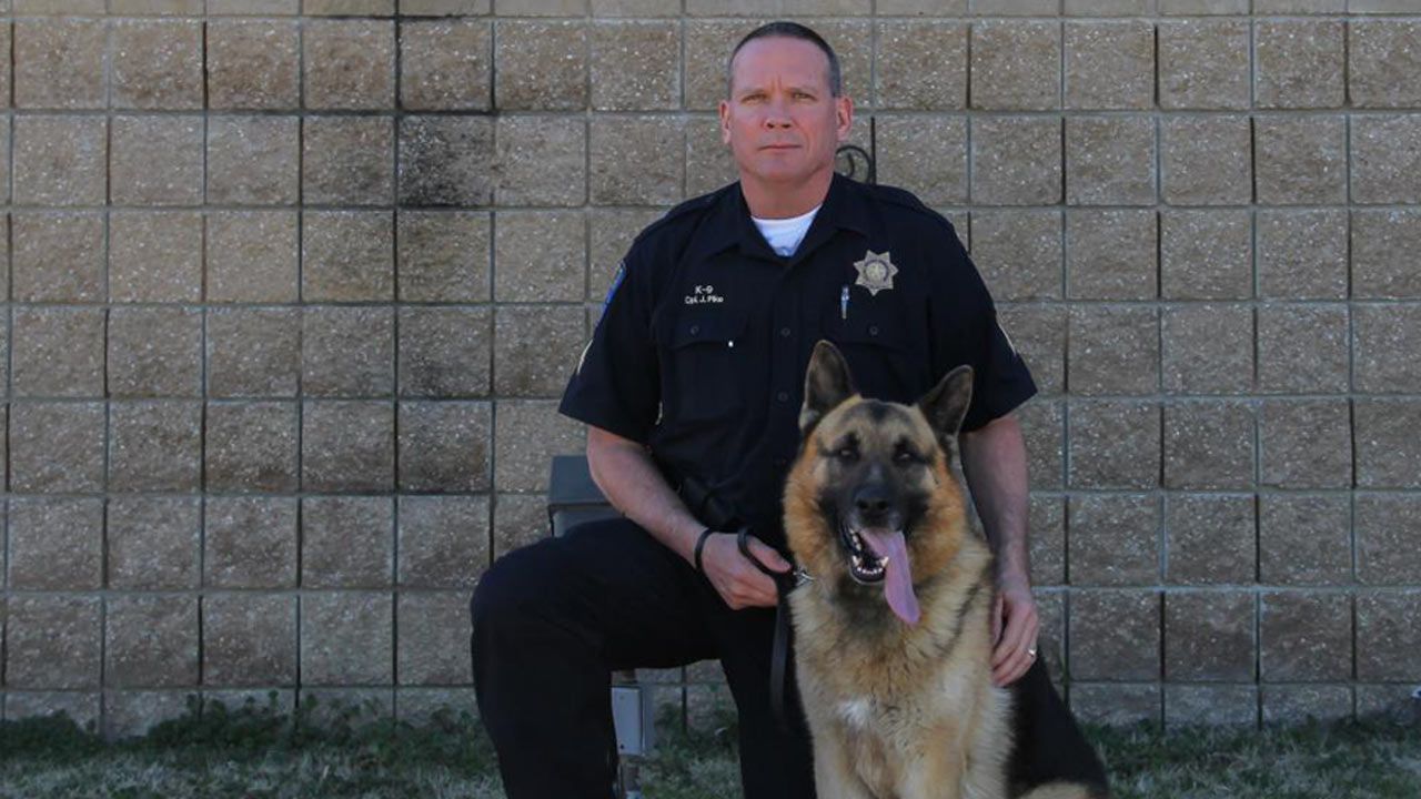 TPD Officer And His K9 Partner To Take Plunge For Special Olympics