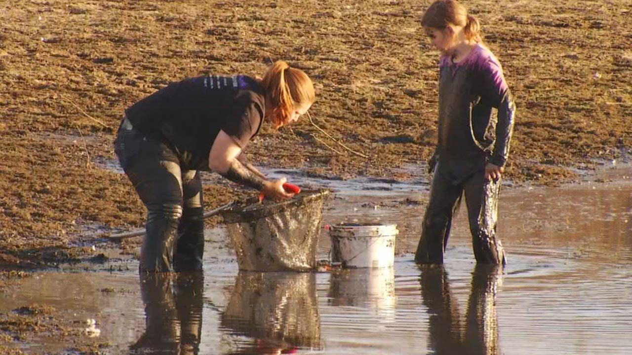Draining Tulsa Pond Sparks Volunteer Fish, Turtle Rescue