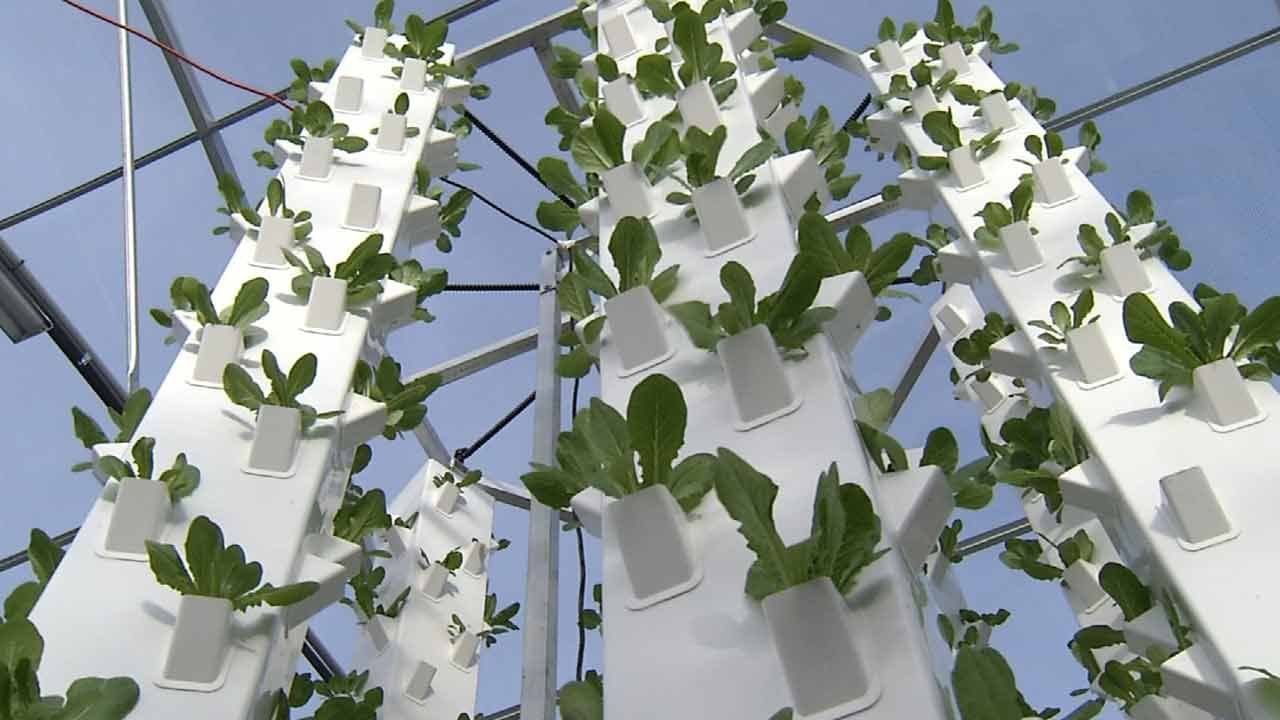 From Farm To Table: Glenpool Farmer Offers 'Ultimate In Freshness'