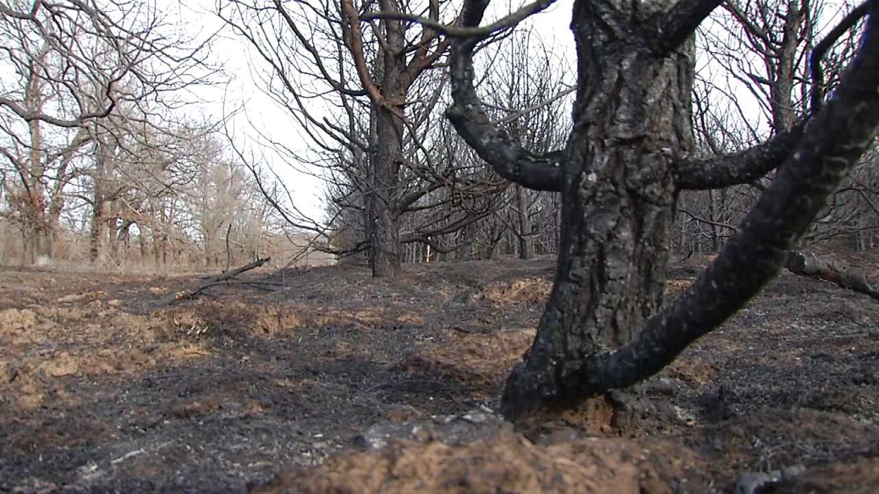 Grass Fire Burns Through Sand Springs Christmas Tree Farm